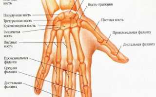 Что делать, если болят суставы пальцев рук? Чем лечить кисти рук